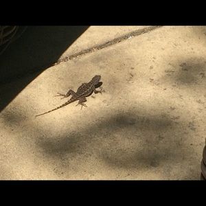 Meet your Posher, Malcolm